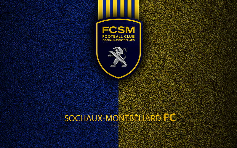 FC Sochaux-Montbeliard, French football club Ligue 2, leather texture, logo, Montbeliard, France, second division, football, HD wallpaper