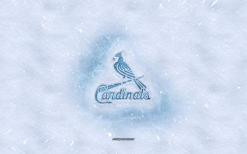 St. Louis Cardinals on X: Snow Day! ❄️⛄  / X