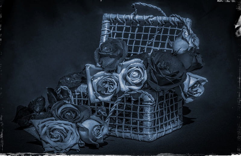 Remembrance, basket, flower, roses, blue, HD wallpaper