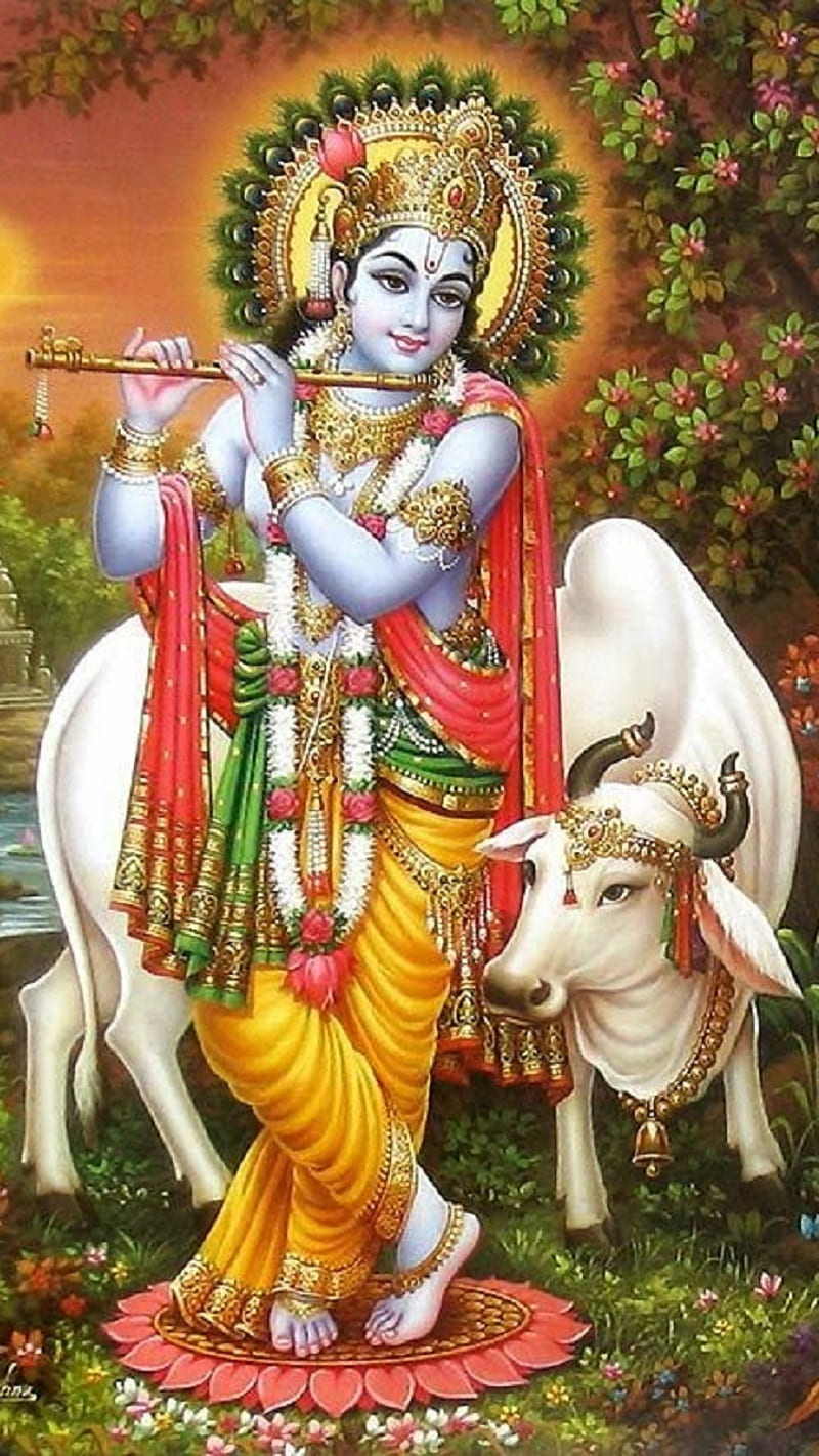 Lord Krishna, hindu god, religion, HD phone wallpaper | Peakpx