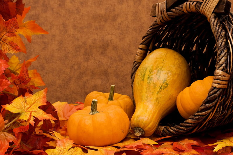 Autumn, Fall, still life, leaves, gourd, basket, gourds, pumpkins, HD wallpaper