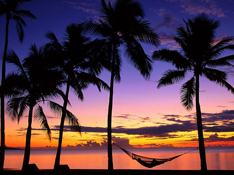 Denarau Island at Sunset Fiji, beach, island, sunsets, fuji, HD wallpaper