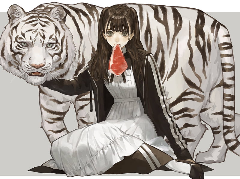 White Tiger: | Anime art beautiful, White tiger, Anime