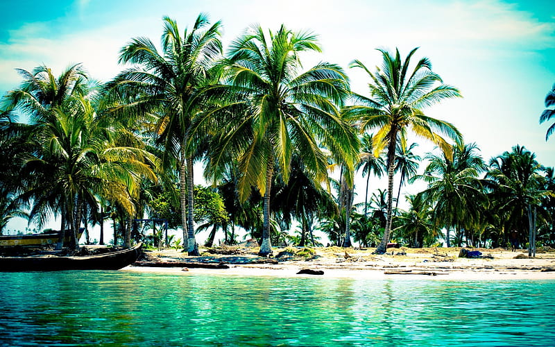 tropical island, palm trees, ocean, summer, summer vacation, HD wallpaper
