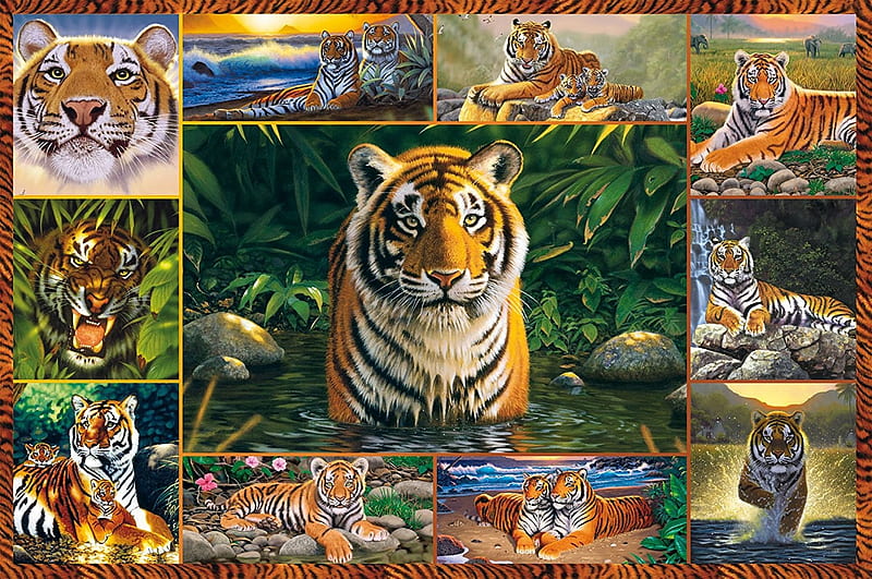 Collage, tigru, tiger, animal, HD wallpaper | Peakpx