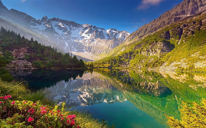 Alpine Lake In Spring, Alps, forest, grass, Italy, turquoise water, bonito, spring, lake, mountains, flowers, reflection, snowy peaks, HD wallpaper