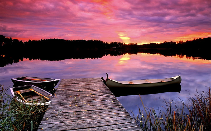 BOATS at REST, forest, boats, pedals, dock, sunset, lake, HD wallpaper