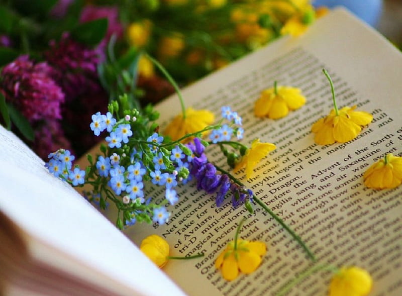 Taste of Summer, still life, lovely, reading, book, summer, flowers, HD wallpaper