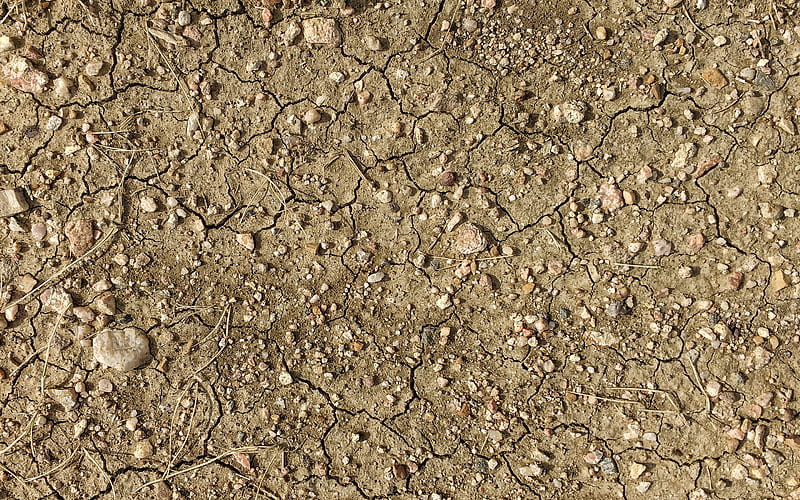 dry ground texture, Cracked Dry Ground, light brown ground texture, ground background, ground texture, HD wallpaper