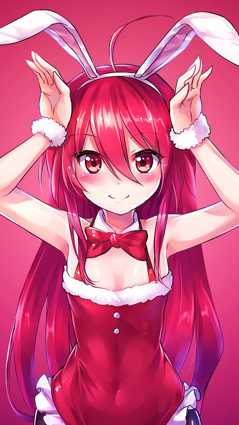 Cute Anime girl bunny easter girl santa HD phone wallpaper  Peakpx