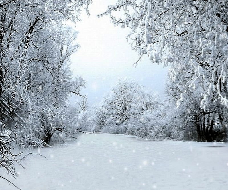 árboles de invierno y nieve, blanco, nieve, árboles, invierno, hermoso,  Fondo de pantalla HD | Peakpx