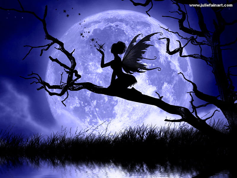dark moon fairy