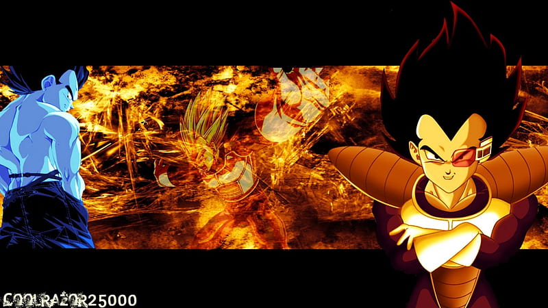 DragonBall Ultimate on X: Final Flash #DragonBallZ #DragonBall #Vegeta    / X