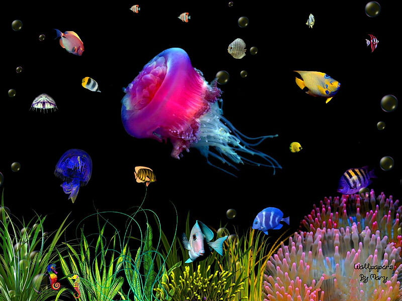 Luminous Jelly Fish 1600x1200, Seaweed, Fish, Coral, JellyFish, Underwater, MarineLife, HD wallpaper