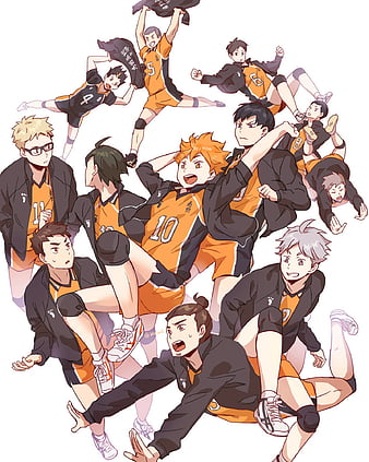 Haikyuu Karasuno Volleyball Team 4K Wallpaper #7.2827