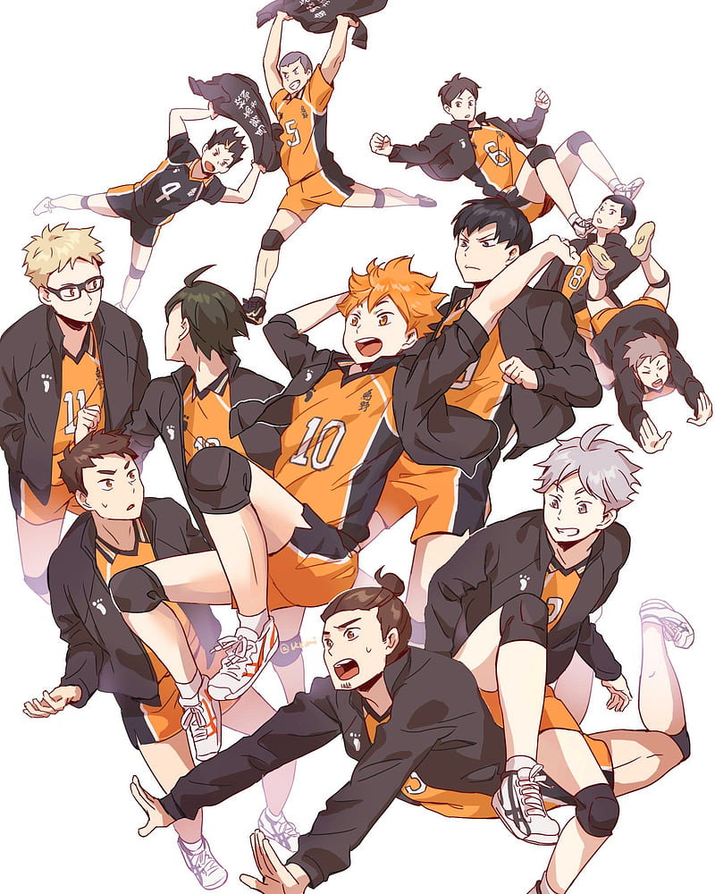 Haikyuu Karasuno Team 4K Wallpaper #7.2818