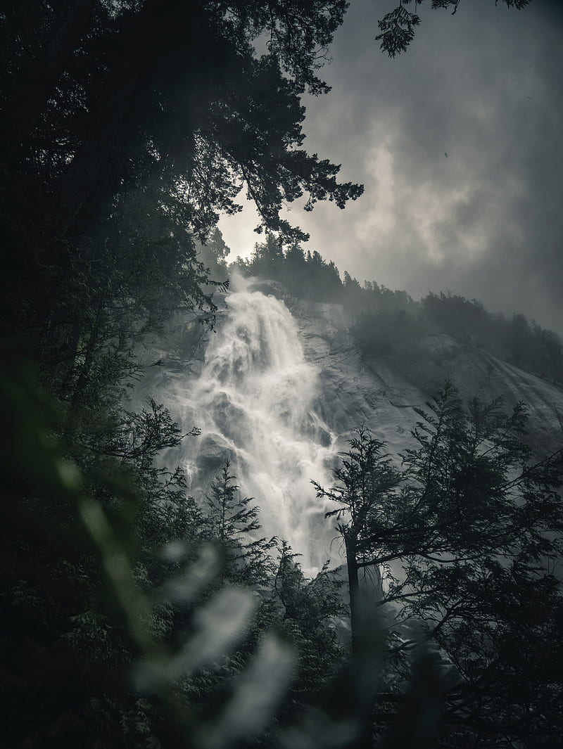 waterfall, fog, branches, current, break, rock, HD phone wallpaper