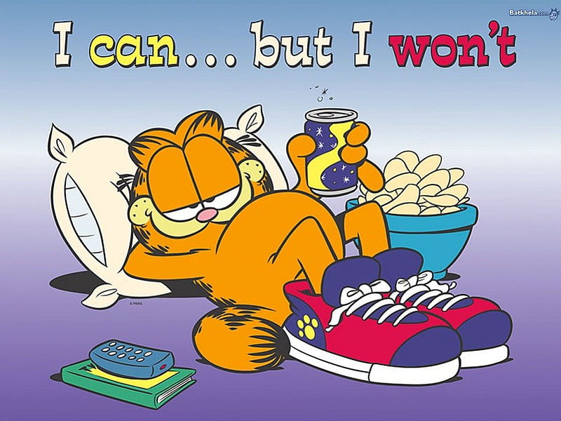 Garfield, lazy, HD wallpaper