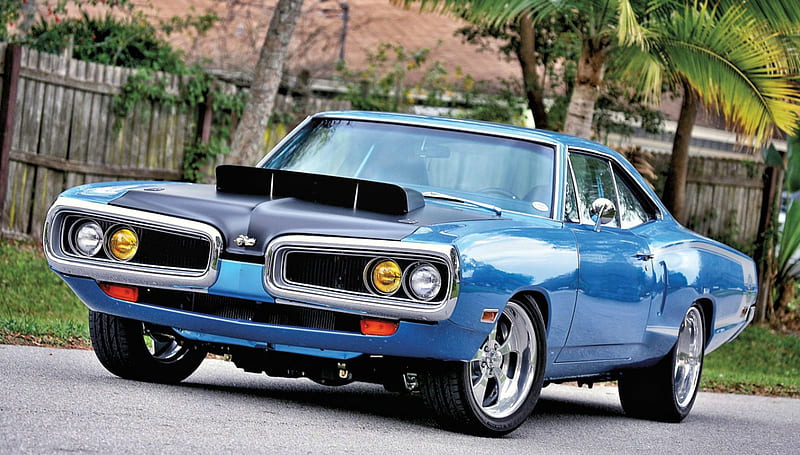 1970-Dodge-Super-Bee, Classic, 1970, Blue, Mopar, HD wallpaper | Peakpx