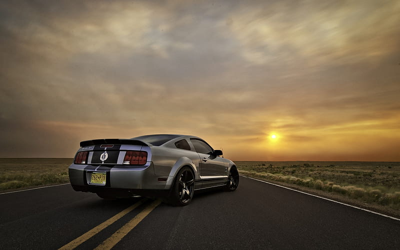 Ford Mustang Silver, ford, mustang, carros, silver, HD wallpaper