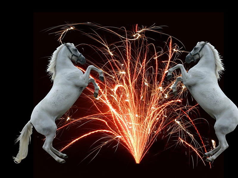fountain-of-fire-with-two-rearing-horses, animals, HD wallpaper