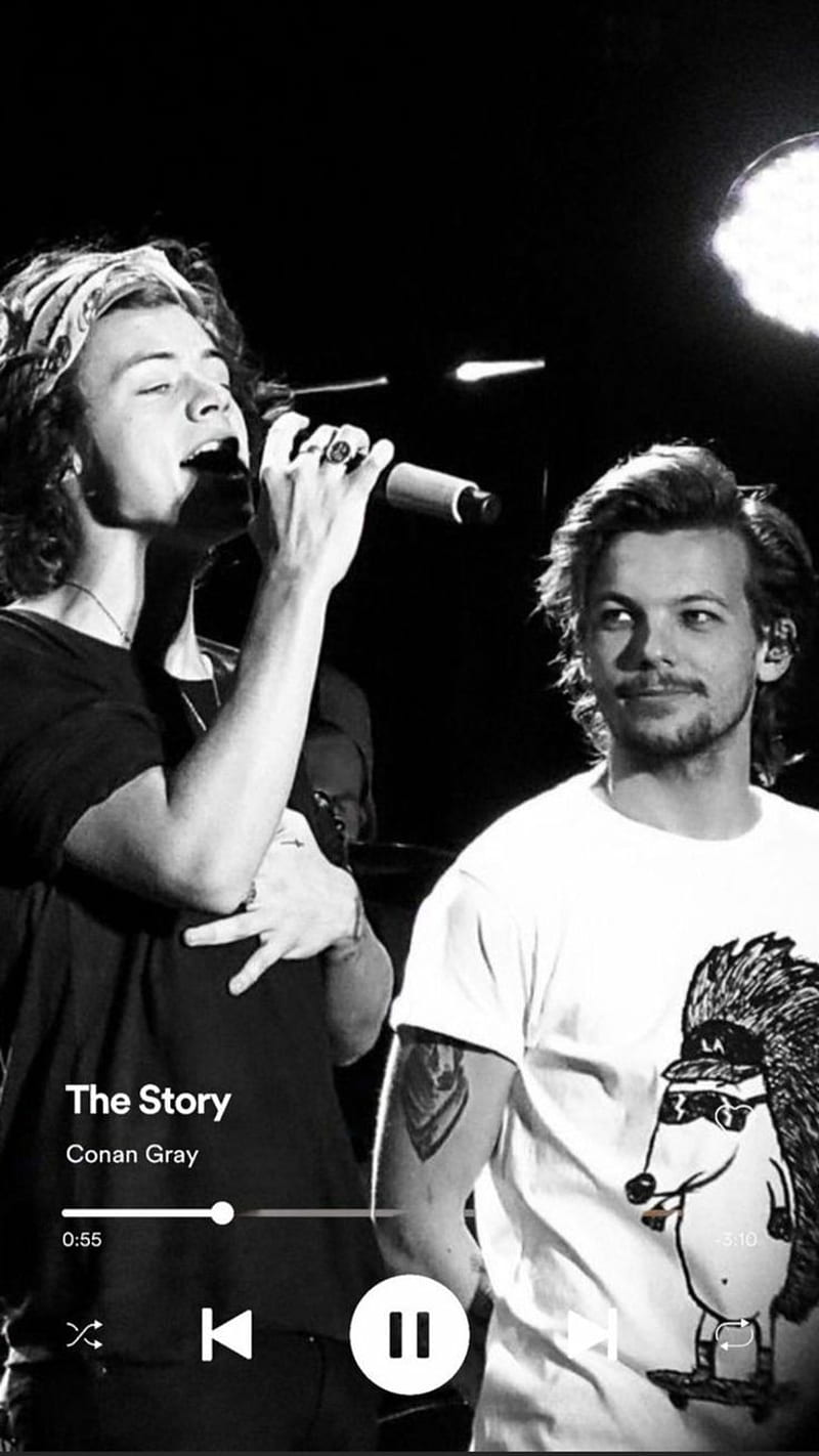 Larry Stylinson xx - image #2545662 on