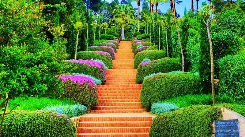Steps Between Colorful Plants In Garden Surrounded By Trees Nature, HD wallpaper