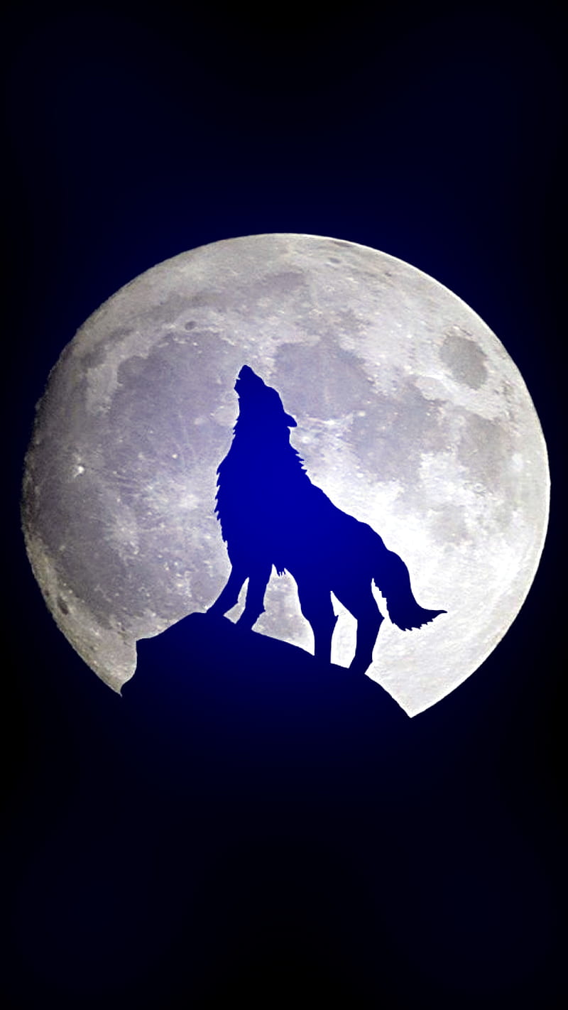 wolf moon, loup, lune, HD phone wallpaper