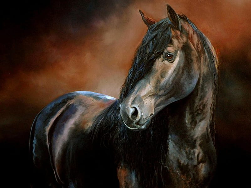 Dark Beauty, black, andalusian, bay, horses, spanish, HD wallpaper