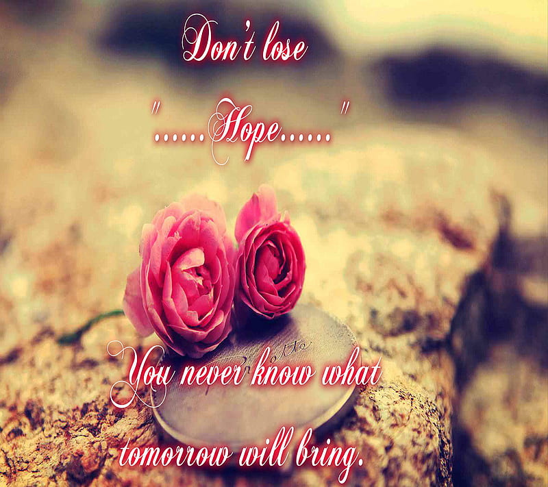 Hope, life, life saying, quote, saying, true, HD wallpaper | Peakpx