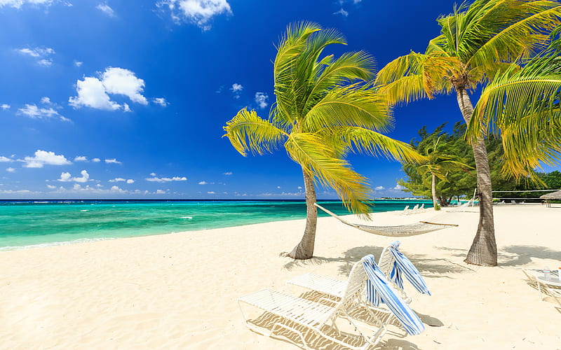 Maldives tropical islands, beach, ocean, waves, white sand, palm trees, travel concepts, HD wallpaper