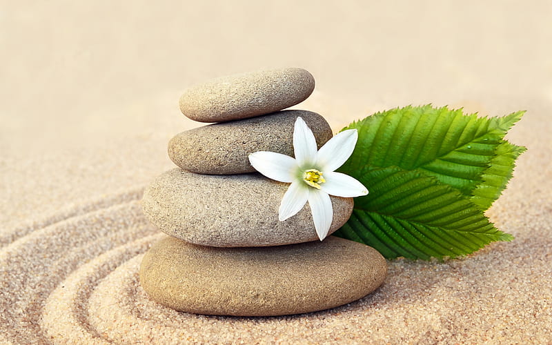 polished stones, sand, spa, white flower, circles on the sand, HD wallpaper