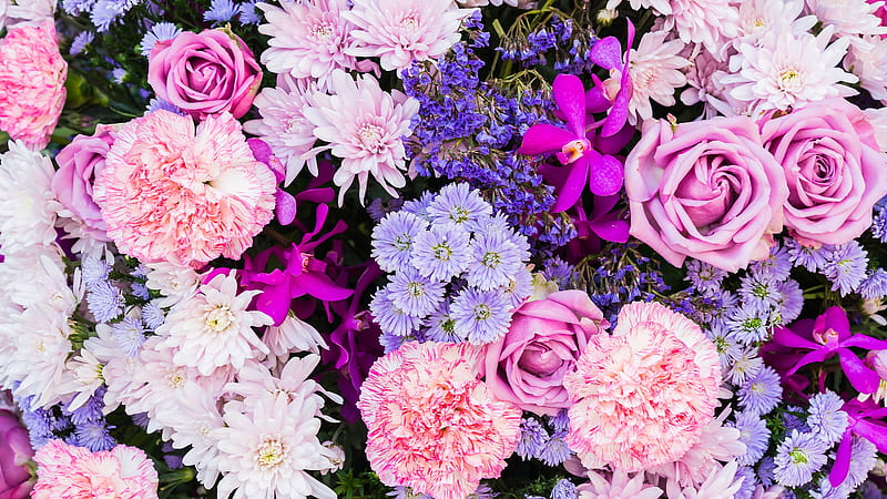colorful flowers, botanical garden, Flowers, HD wallpaper