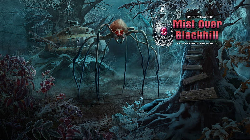 Mystery Trackers 14 - Mist Over Blackhill03, cool, hidden object, video games, fun, puzzle, HD wallpaper
