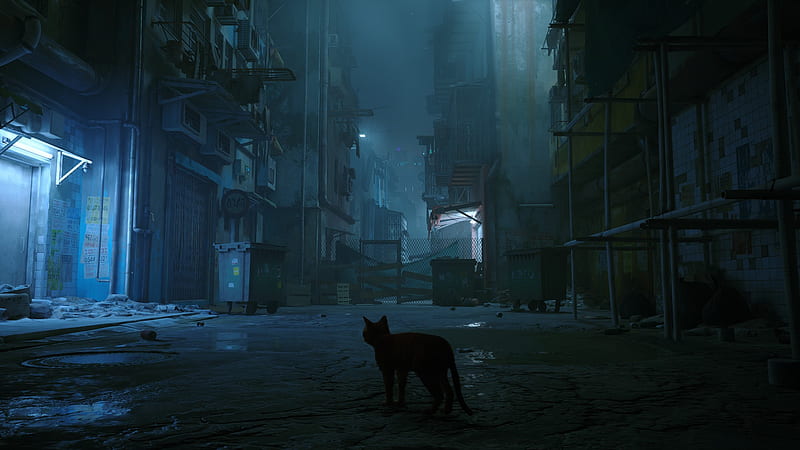 Video Game, Stray, HD wallpaper | Peakpx