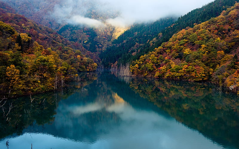 autumn, forest, mountain lake, autumn landscape, mountains, glacial lake, HD wallpaper