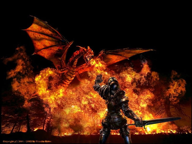 Gothic 2, graphics, dragon, rpg, armor, fire, paladin, fantasy, knight, HD wallpaper