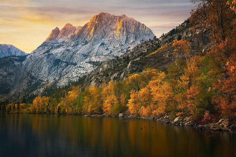 Silver Lake, California, autumn, trees, mountains, fall, forest, colors, HD wallpaper