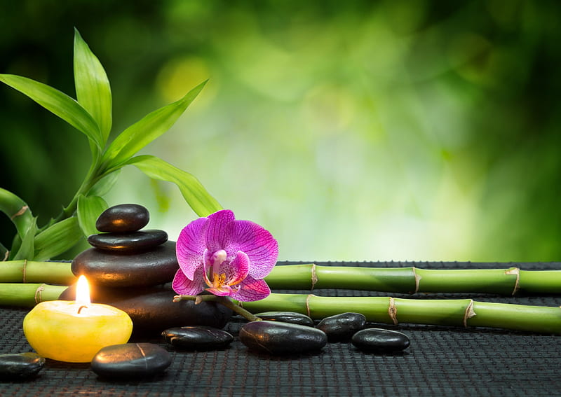 Relaxing Spa, stones, zen, relax, oriental, orchid, spa, bamboo, candles, HD wallpaper