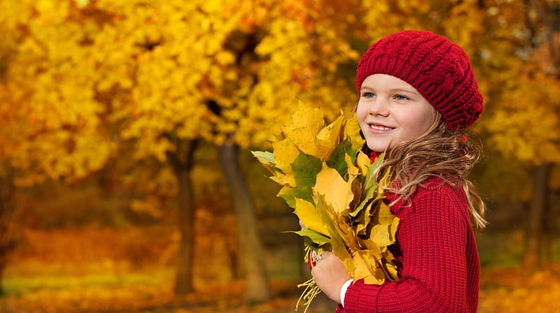 BEAUTIFUL FALL DAY, LEAVES, COLORFUL, AUTUMN, BEAUTIFUL, HD wallpaper BEAUTIFUL FALL DAY, LEAVES, COLORFUL, AUTUMN, BEAUTIFUL, HD wallpaper