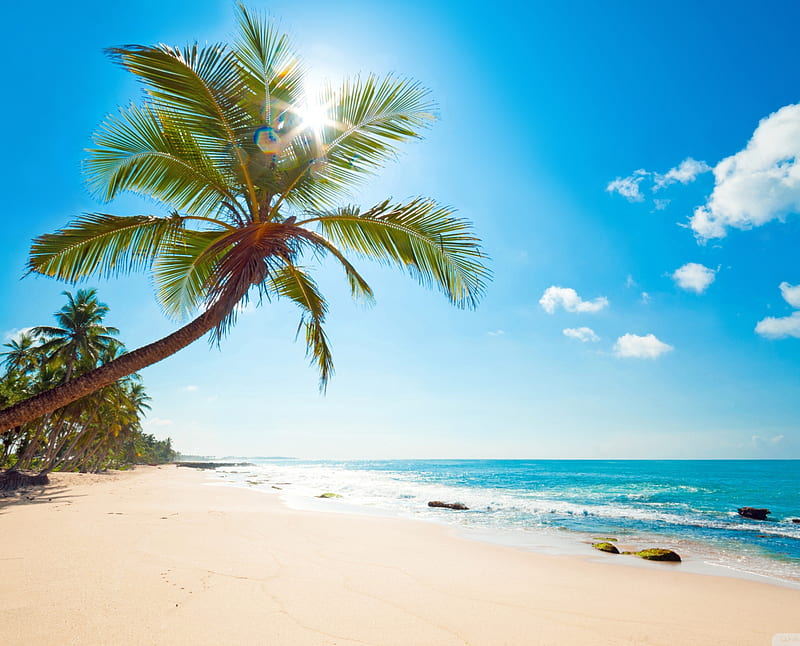 Tropical Ultra , 2014, beach, best, cool, nature, sky, HD wallpaper