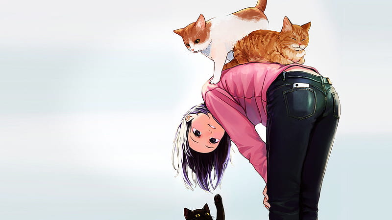 25++ Anime Girl Cat, Aesthetic Anime Cat, HD wallpaper