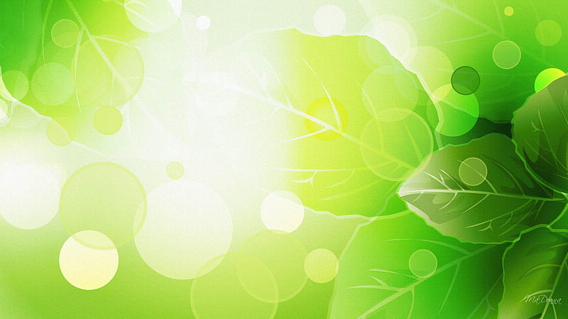 Spring Green Two, leaves, summer, firefox persona, spring, abstract, light, HD wallpaper