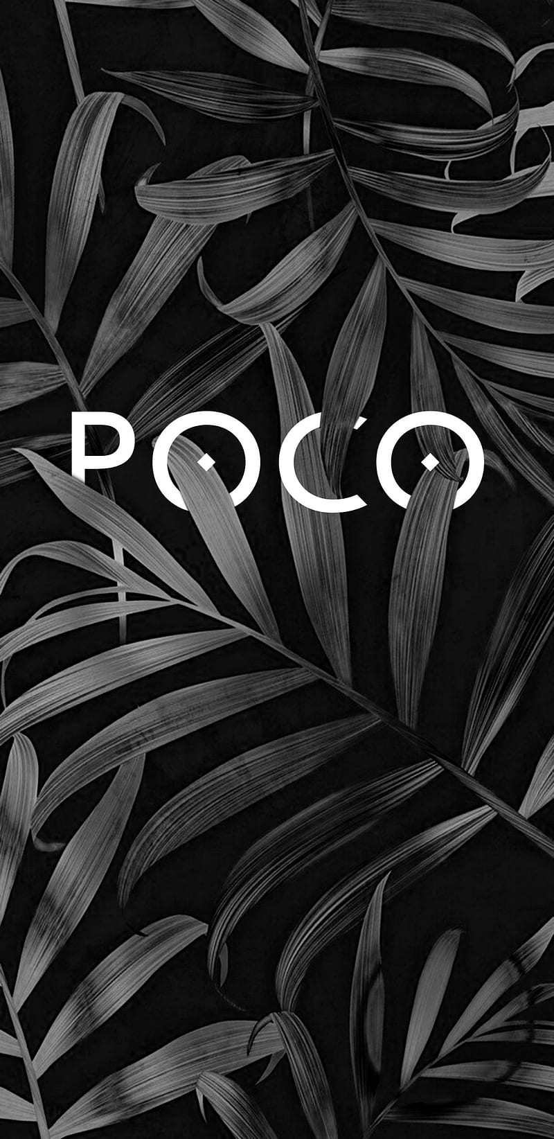 Poco2-Rockmods, background, black, black and white, poco, poco f1, poco f1 , poco , rbmods, rockmods, rockmods, HD phone wallpaper