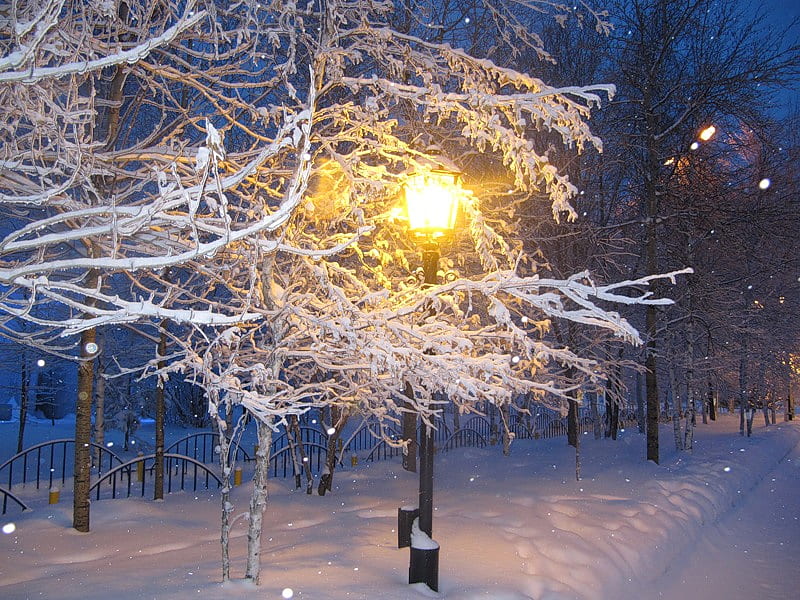 Lamplight, lamp, glow, snow, railings, trees, street, night, HD ...