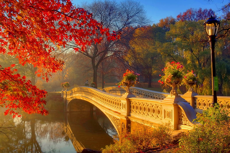 Central park in autumn, fall, autumn, calmness, bonito, park, trees, foliage, mist, leaves, serenity, bridge, walk, river, morning, branches, HD wallpaper