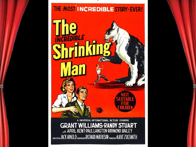 The Incredible Shrinking Man02, posters, horror, classic movies, The Incredible Shrinking Man, HD wallpaper