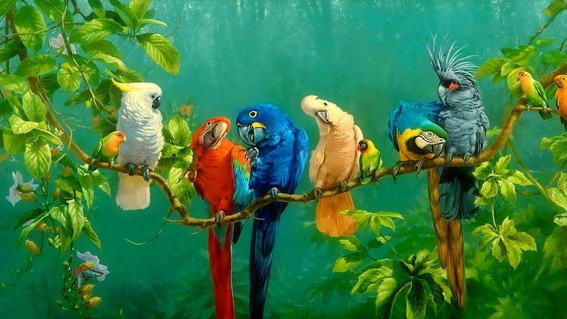 Birds of a Feather, flocl, parots, feather, birds, blue, HD wallpaper