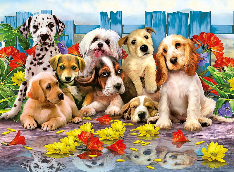 Puppies, art, caine, cute, painting, summer, flower, pictura, dog, HD ...