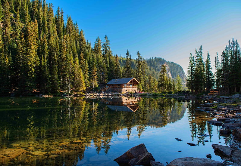 Cabin Forest, hills, forest, house, morning view, bonito, lake, summer, reflection, crystal clear, HD wallpaper
